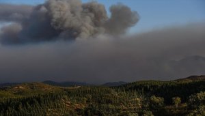 İklim değişikliğinin yol açtığı orman yangınları hava kalitesini düşürecek