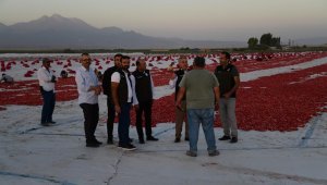 İl Tarım ve Orman Müdürü Şahin, domates kurutma alanını inceledi
