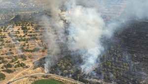 İzmir'de makilik alanda çıkan yangına havadan ve karadan müdahale ediliyor