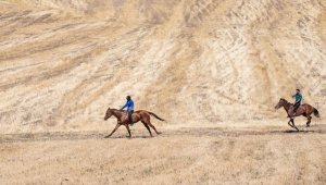 Kars'ta 'geleneksel at yarışı' düzenlendi 