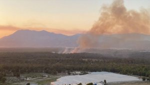 Kaş'ta ormanlık alanda yangın çıktı