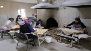 Kayseri'de gelin gittiği ilçede kadınlarla kooperatif kurup 17 kişiye istihdam sağladı