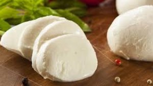 Kayseri'de manda yetiştiricileri mozzarella peyniri üretecek