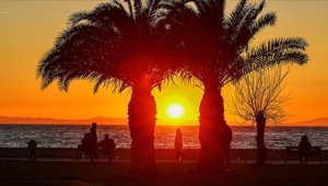 Küresel ısınma kalp sağlığını olumsuz etkiliyor