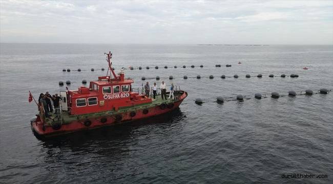 Midye yetiştiriciliğinde verimi etkileyen unsurlar Karadeniz'deki tesiste araştırılıyor