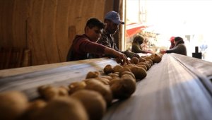 Nevşehir'deki depolarda yerini alan patateste tedarik sorunu öngörülmüyor