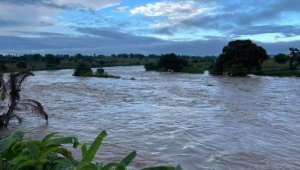 Nijerya'da sellerde 15 kişi öldü, 18 binden fazla kişi yerinden oldu