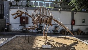 Orta Doğu ve Afrika'nın ilk yerbilim merkezi: Mısır Jeoloji Müzesi