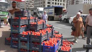 Salçalık domates fiyatları 2 kat arttı