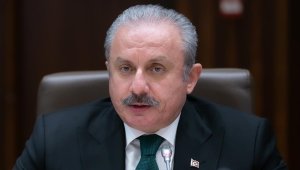 TBMM Başkanı Şentop, Ermenistan ziyaretini iyi niyetli görmüyorum