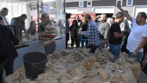 Üreticiler, TMO'nun fındık alımından memnun 