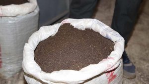 Yüksek verim için "kimyasal değil hayvansal gübre kullanın" tavsiyesi