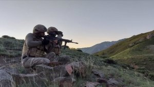 Zeytin Dalı bölgesinde PKK/YPG'li 14 terörist etkisiz hale getirildi