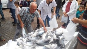 Zonguldak'ta palamut bolluğu fiyatlara yansıdı