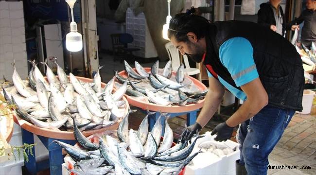 Bandırma Su Ürünleri Hali'nde sezonun ilk ayı palamut bolluğuyla geçti