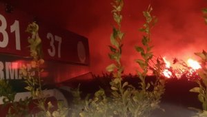 Hatay'da zeytinlik ve kamışlık alanda yangın çıktı