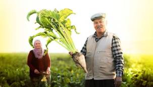 Hüseyin Akay: “Pancar alım fiyatı makul, saksıya bile ekim yapmak isteyenler olacak”