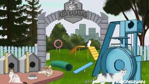 İlklerin Belediyesi Kocasinan'dan minik dostlara özel yaşam alanı