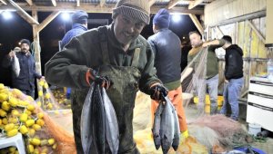 Karadeniz'de palamut bolluğu