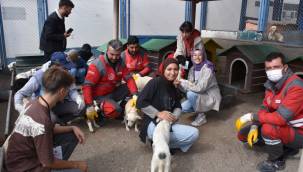 Kocasinan'da gençlere hayvan sevgisi aşılanıyor