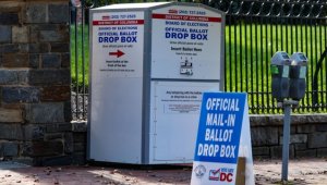 ABD'de posta yoluyla oy kullananların sayısı 45 milyonu geçti