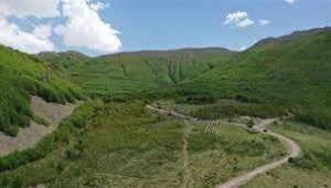 Kayseri'de gezmeye gittikleri ormanda kaybolan 2 kişi bulundu