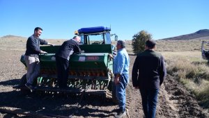 Kayseri'de sertifikalı buğday ve arpa tohumları toprakla buluşturuluyor