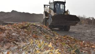 Kocasinan Belediyesi dökülen yaprakları gübreye dönüştürüyor