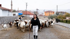 Nevşehirli genç kadın, devlet desteğiyle küçükbaş hayvancılık işletmesi kurdu