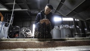 Tahıl koridoru anlaşmasında Türkiye'nin yer alması Ukrayna'da tüccarlara güven veriyor