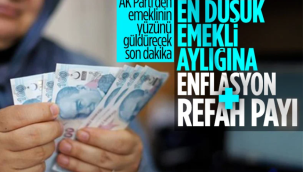 AK Partili Hamza Dağ emeklilere yapılacak maaş zammına ilişkin konuştu