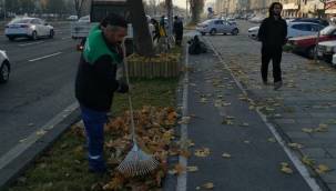 Büyükşehir, Topladığı Gazelleri Gübreye Dönüştürüyor