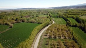 Hazine'ye ait 2/B ve tarım arazileri satışında başvurular 31 Aralık'ta sona erecek