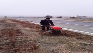 Hüyük'te caddelere lavanta fidanı dikiliyor