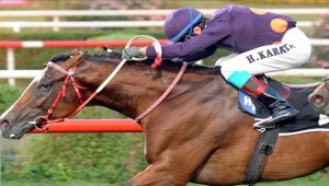 Jokey Halis Karataş, 7 bininci birinciliğine ulaştı