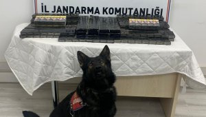 Kayseri'de tır dorsesinde 350 paket kaçak sigara bulundu