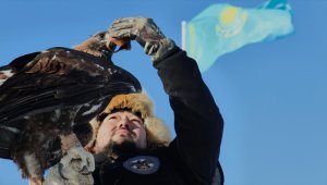 Kazaklar, kadim gelenek kartalla avcılığı yaşatmaya devam ediyor