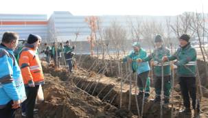 Kocasinan'da yemyeşil bir bahar olacak