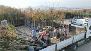 Melikgazi Belediyesi ilçeyi ağaçlandırmada zaman kazanıyor