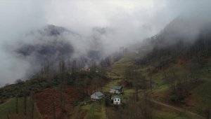 Trabzon'un 'Hıdırnebi Yaylası' sis altındaki güzelliğiyle ziyaretçilerini karşılıyor