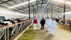 Aksaray'da hastalıktan ari işletme çalışmaları