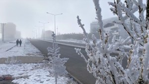 Ardahan ve Kars'ta sis ile dondurucu soğuklar etkili oldu