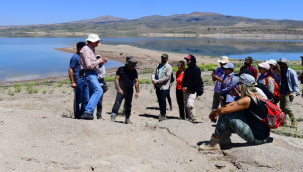 Büyükşehir İle 7,5 Milyon Yıllık Fosiller Gün Yüzüne Çıkıyor