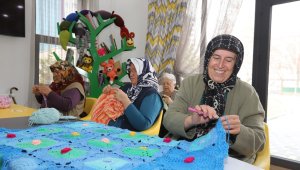 Büyükşehir'in Merkezi, Ulu Çınarların İkinci Yuvası Oldu