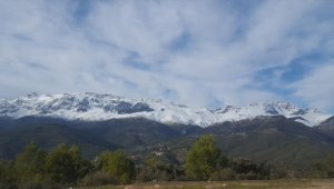 Cezayir'de yoğun kar yağışı nedeniyle bazı uçak seferleri yapılamıyor