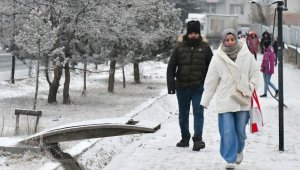 Erzurum, Ardahan ve Kars'ta dondurucu soğuklar etkili oluyor