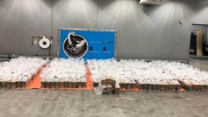 Hollanda'nın Rotterdam Limanı'nda bir haftada yaklaşık 5 ton kokain ele geçirildi