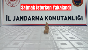 Jandarmadan Tarihi Eser Operasyonu