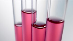 Kamunun imalat sanayisi yatırımlarında en yüksek pay kimya sektörünün