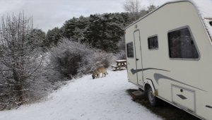 Karavancılar Beypazarı'ndaki Karagöl Yaylasını tercih ediyor